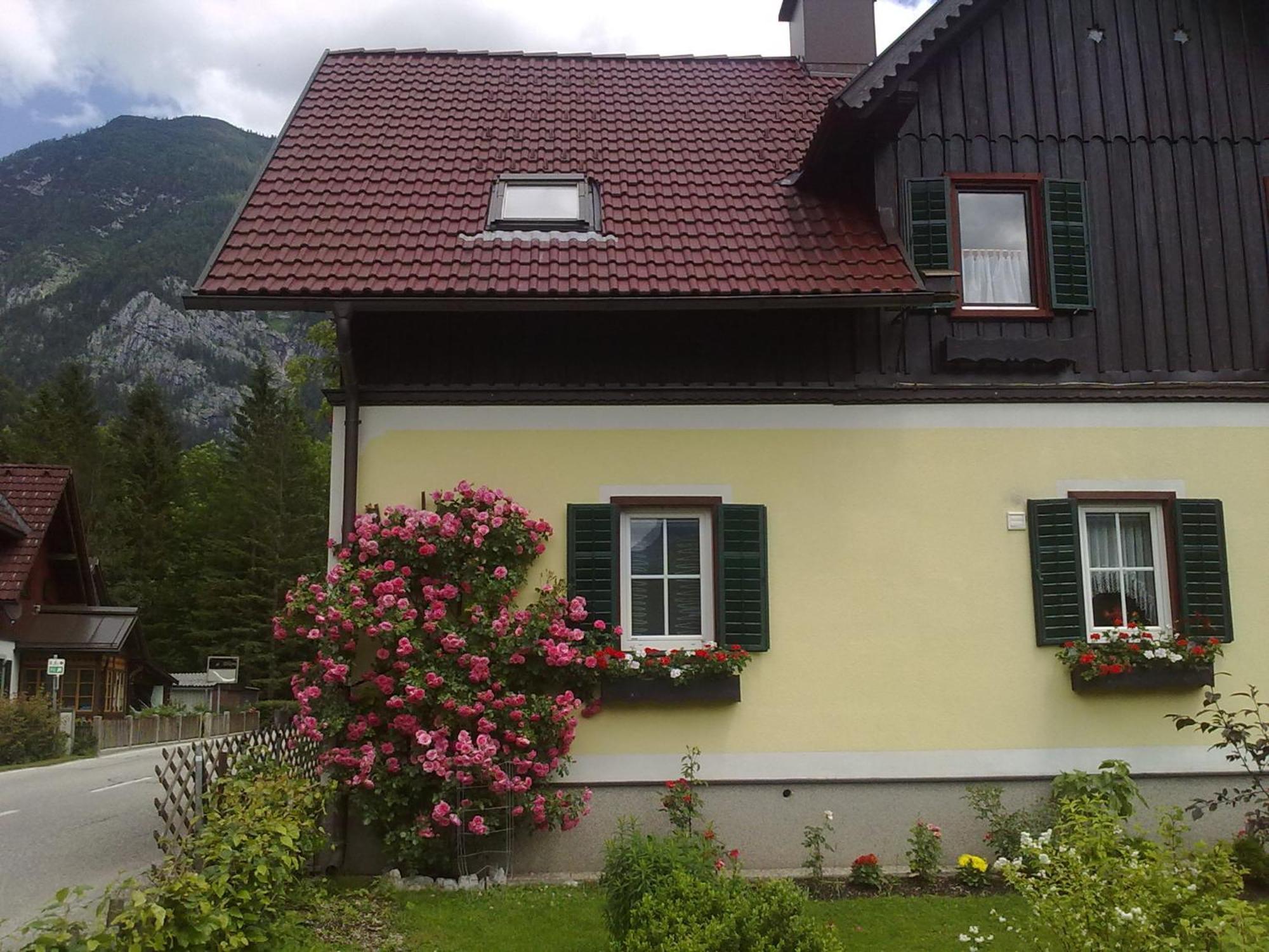 Ferienwohnung Haus Fratnik Obertraun Exterior foto